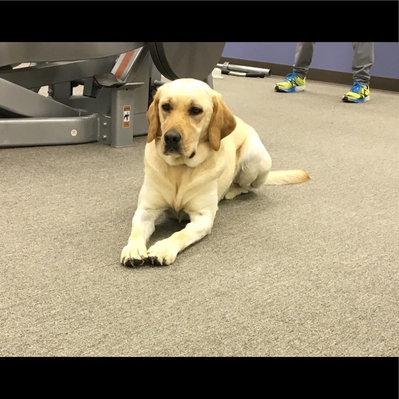 Meet your Posher, Terri - Picture 1 of 1